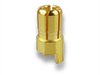 gold contact 6,0mm plug bulk